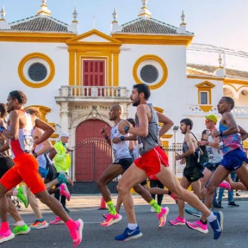 Maratona Siviglia, l’Organizzazione